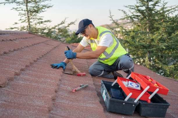 Best Roof Leak Repair  in Adwolf, VA